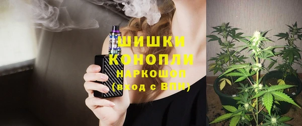 гидра Липки