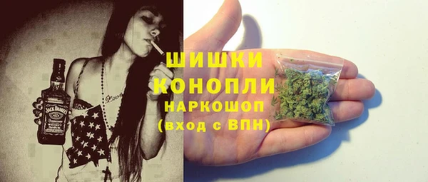дмт Бородино