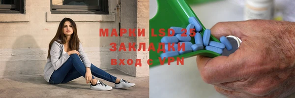 дмт Бородино