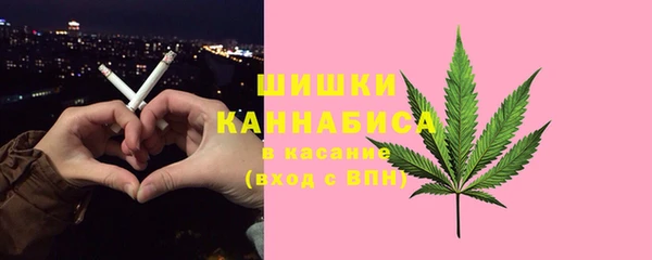 дмт Бородино