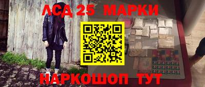 индика Гагарин