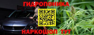 индика Гагарин