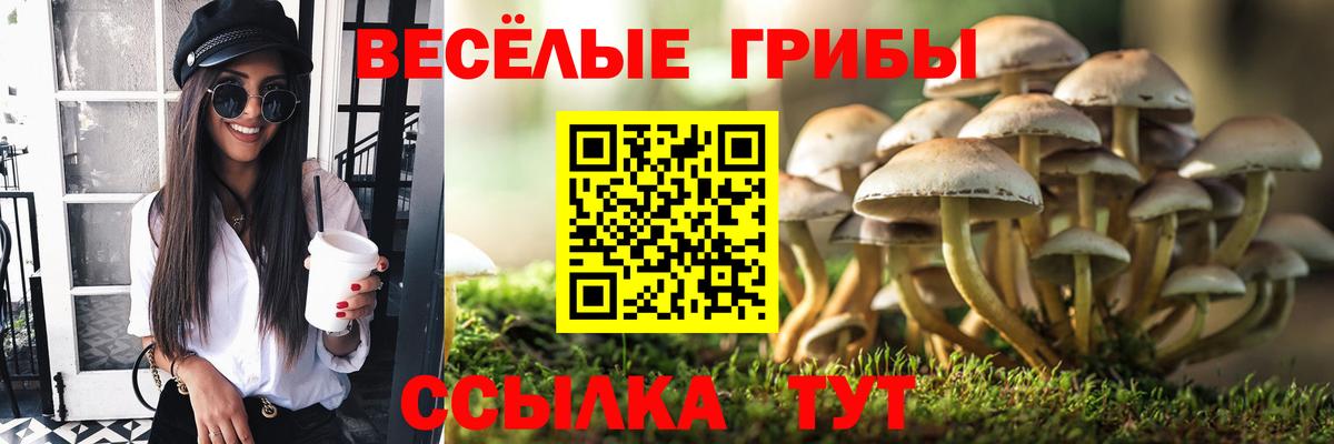 Псилоцибиновые грибы ЛСД  Вход с VPN  наркошоп  Воткинск  Псилоцибиновые грибы прущие грибы 